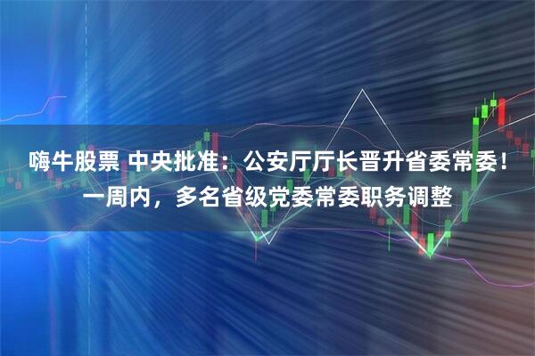 嗨牛股票 中央批准：公安厅厅长晋升省委常委！一周内，多名省级党委常委职务调整